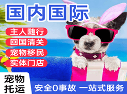 桃仙国际宠物托运 【国
